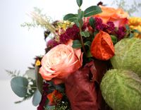 DSC00080