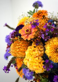 DSC00097